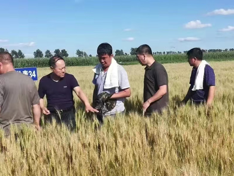 微信图片_20250718204834_副本.jpg