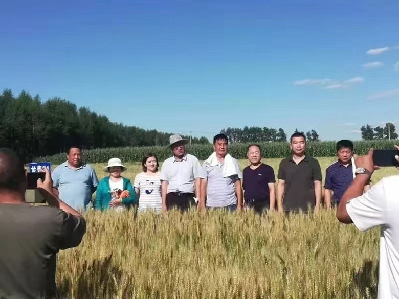 微信图片_20250718204823_副本.jpg